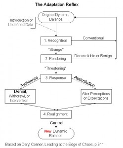 Adaptation Reflex