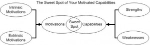 MotivatedCapabilities