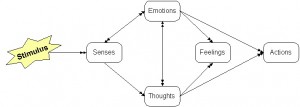 SenseThoughtEmotionFeelingAction